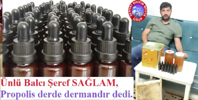 Ünlü Balcı Şeref SAĞLAM, Propolis İlaç Değerindedir.