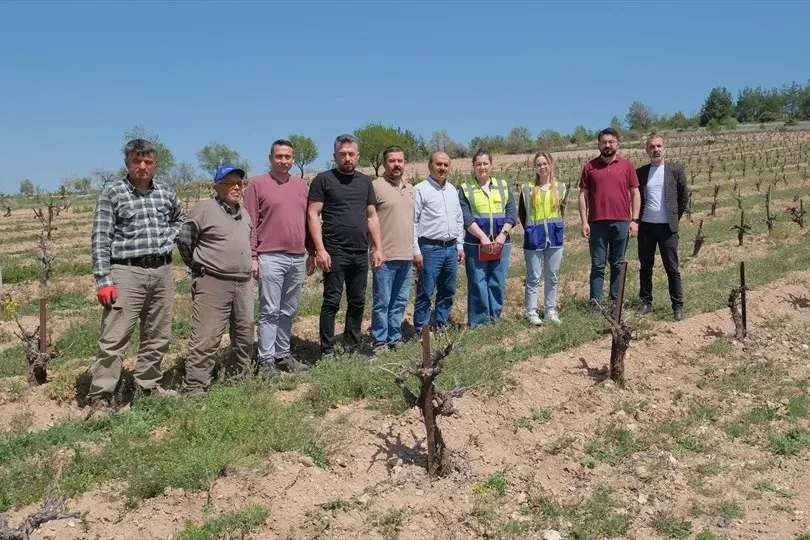 Denizli’de Zirai Don Tarımı Vurdu