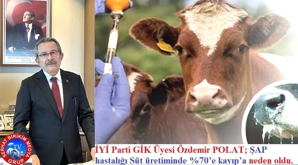 İYİ Parti GİK Üyesi Özdemir POLAT; Türkiye hayvancılık konusunda karşı karşıya.