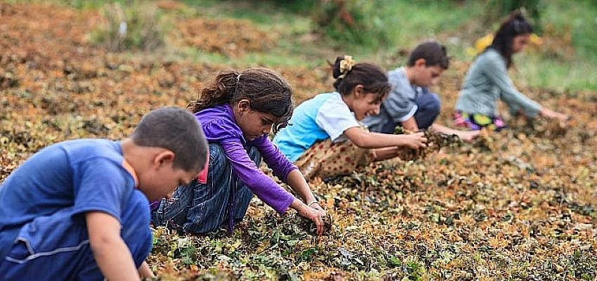 Hayata Destek Derneği:  Çocuklar yoksulluk döngüsünden çıksın