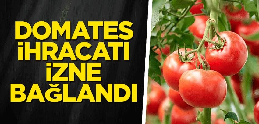 Domates ihracat yasağı kararı Türkiye’yi domates ithalatçısı yapar