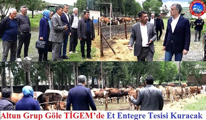 Altun Grup Göle