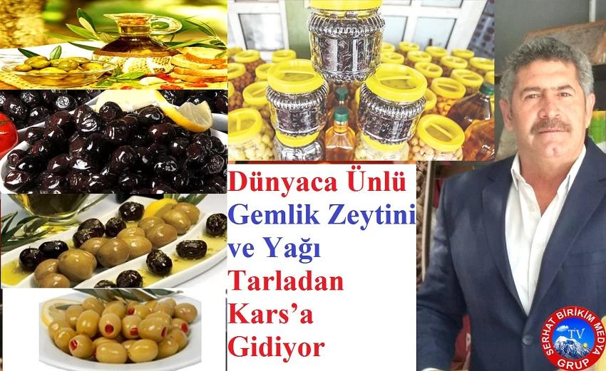 MÜJDE; Gemlik Zeytini ve Yağı 5 Eylül’de Kars’ta